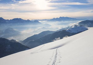 2020的最后一個季度